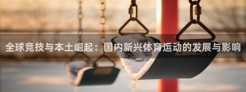 bsports官网 必一运动：全球竞技与本土崛起：国内新兴体育运动的发展与影响