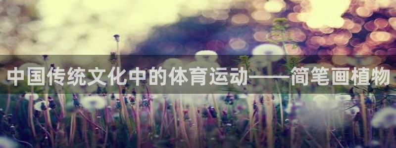 必一运动官网：中国传统文化中的体育运动——简笔画植物