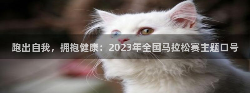 必一运动官网入口：跑出自我，拥抱健康：2023年全国马拉松赛主题口号