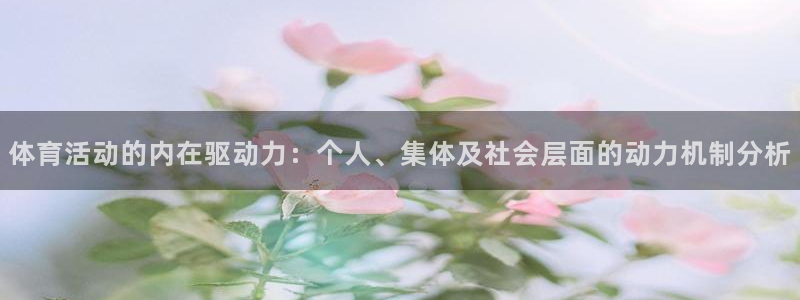 bsport必一运动：体育活动的内在驱动力：个人、集体及社会层面的动力机制分析