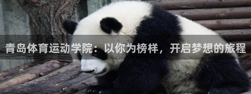 必一运动app：青岛体育运动学院：以你为榜样，开启梦想的旅程