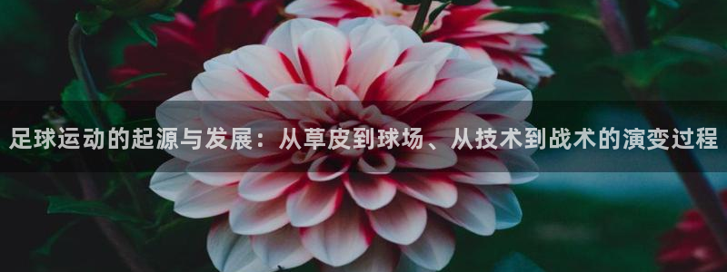 必一运动体育：足球运动的起源与发展：从草皮到球场、从技术到战术的演变过程