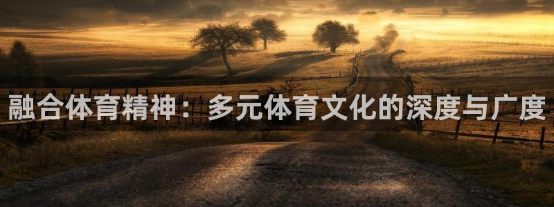 bsports必一运动：融合体育精神：多元体育文化的深度与广度