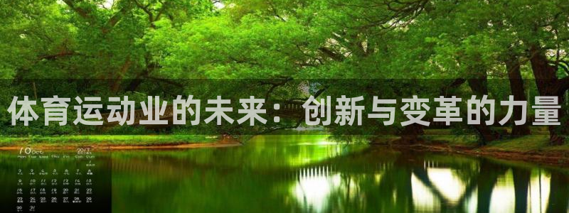 必一运动体育官网入口：体育运动业的未来：创新与变革的力量