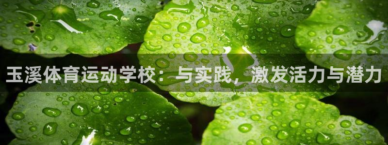 必一运动体育官网：玉溪体育运动学校：与实践，激发活力与潜力
