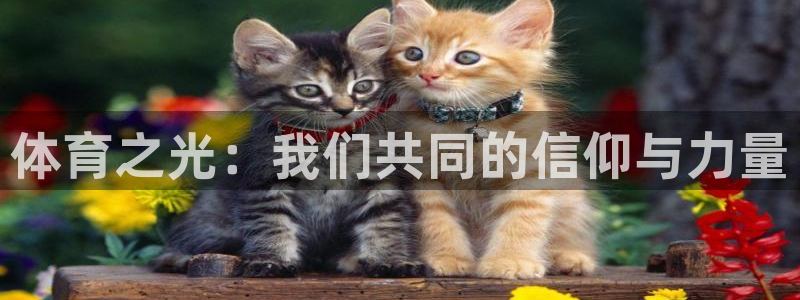 必一运动体育：体育之光：我们共同的信仰与力量