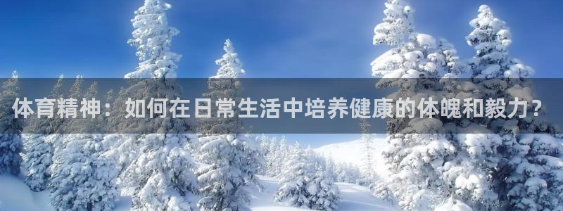 必一运动bsport体育：体育精神：如何在日常生活中培养健康的体魄和毅力？