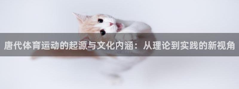b体育必一运动官网：唐代体育运动的起源与文化内涵：从理论到实践的新视角