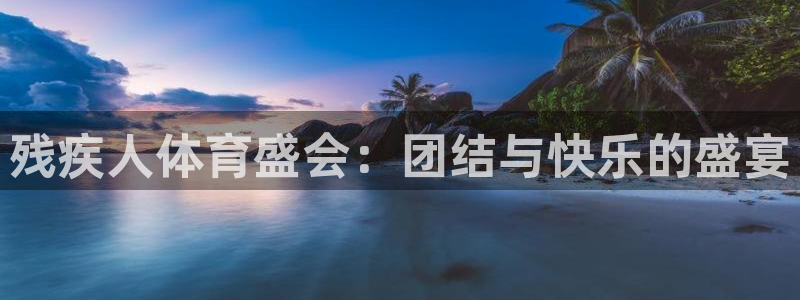 bsports官网 必一运动：残疾人体育盛会：团结与快乐的盛宴
