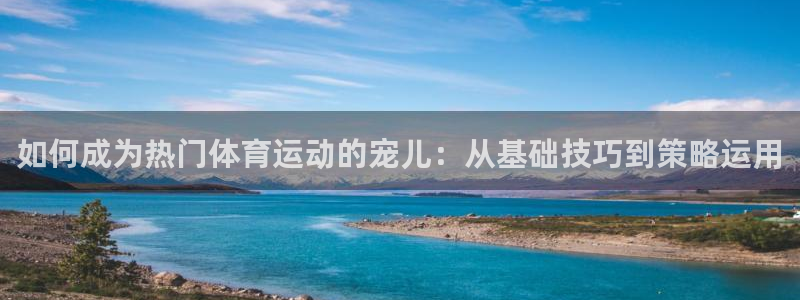 bsports官网 必一运动：如何成为热门体育运动的宠儿：从基础技巧到策略运用