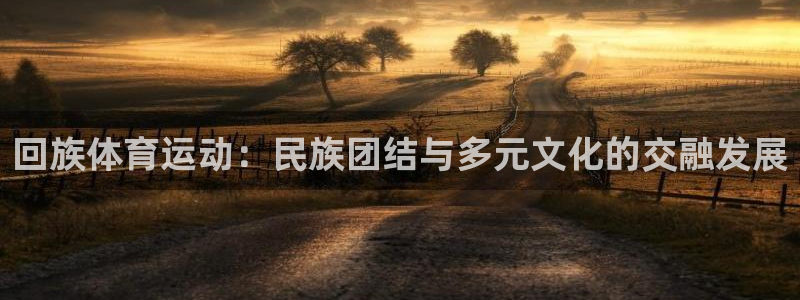必一运动体育官网入口：回族体育运动：民族团结与多元文化的交融发展