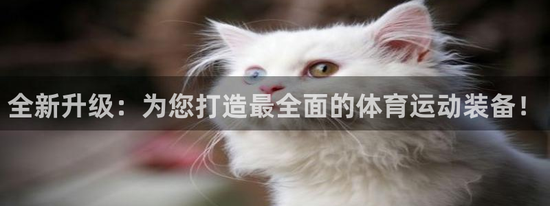 必一运动：全新升级：为您打造最全面的体育运动装备！
